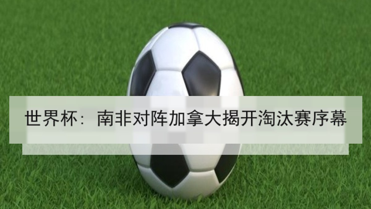 世界杯: 南非对阵加拿大揭开淘汰赛序幕