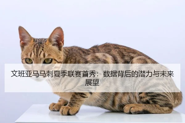 文班亚马马刺夏季联赛首秀：数据背后的潜力与未来展望