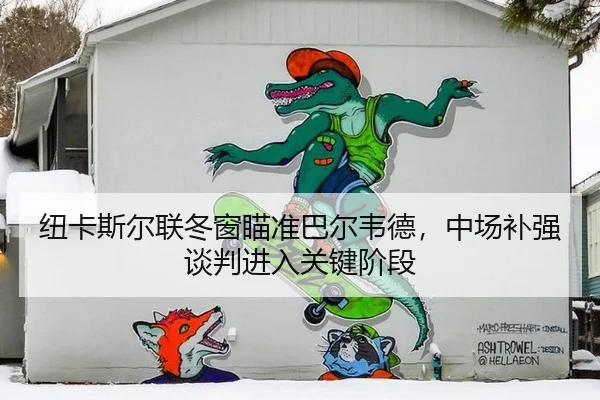 纽卡斯尔联冬窗瞄准巴尔韦德，中场补强谈判进入关键阶段