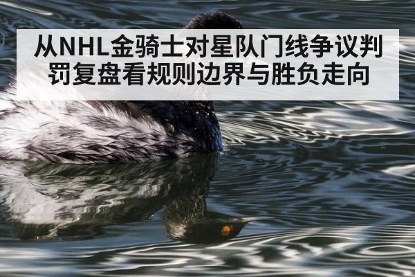 从NHL金骑士对星队门线争议判罚复盘看规则边界与胜负走向
