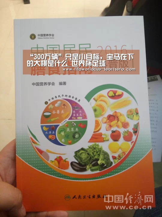 世界杯足球